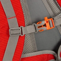 New Rebels ® Kinley - Rugtas - Schooltas - Vrijetijdstas - 48 Liter - Nylon - Rood -Verkoop Reisopslag new rebels kinley rugtas schooltas vrijetijdstas 4 12